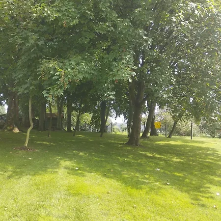 Au Bord De La Baie De Somme *