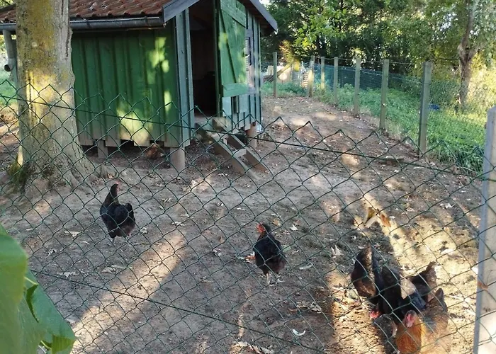 Au Bord De La Baie De Somme Holiday home Quesnoy-le-Montant